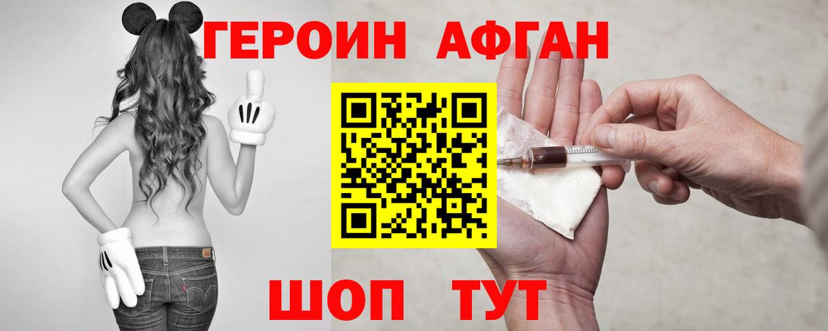 ГЕРОИН хмурый Элиста