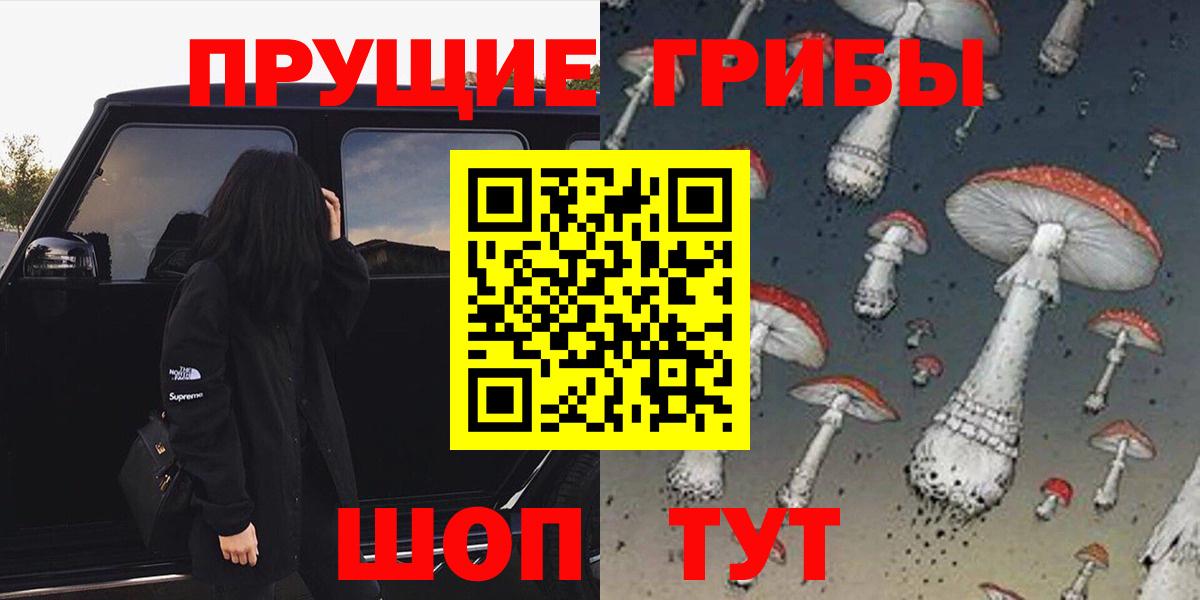 как найти закладки  Вход с VPN  Псилоцибиновые грибы Psilocybine cubensis  Элиста  Галлюциногенные грибы прущие грибы 